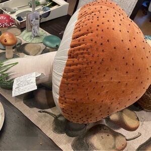 Mushroom pillow by John Derian